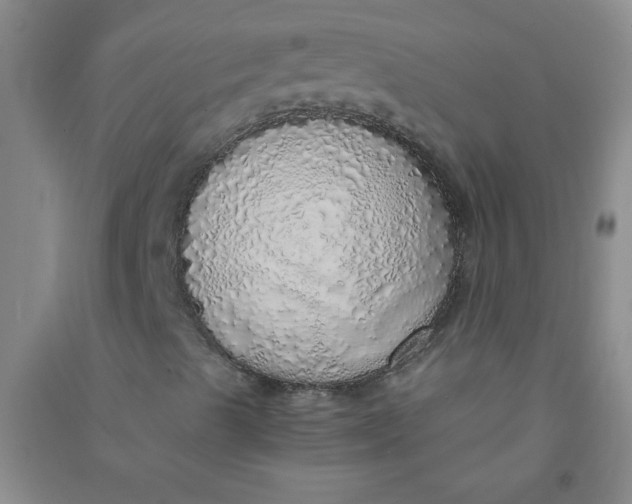 X0000090901489200708201706