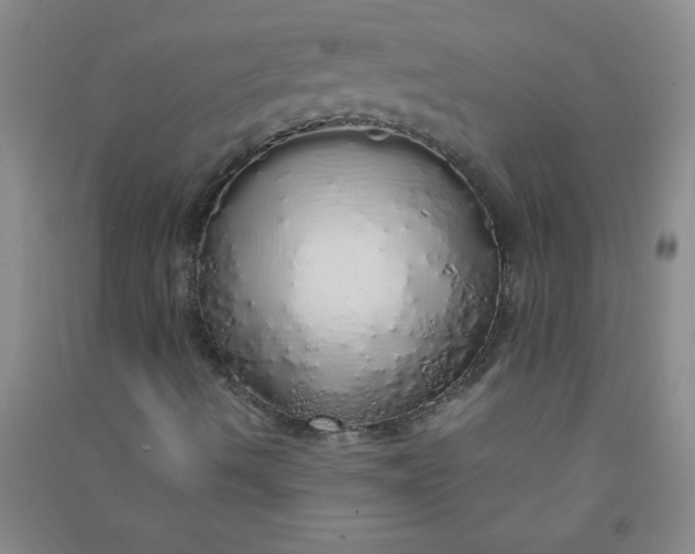 X0000090901490200708201706