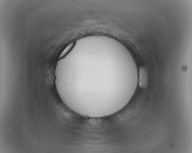 X0000090901491200708201706