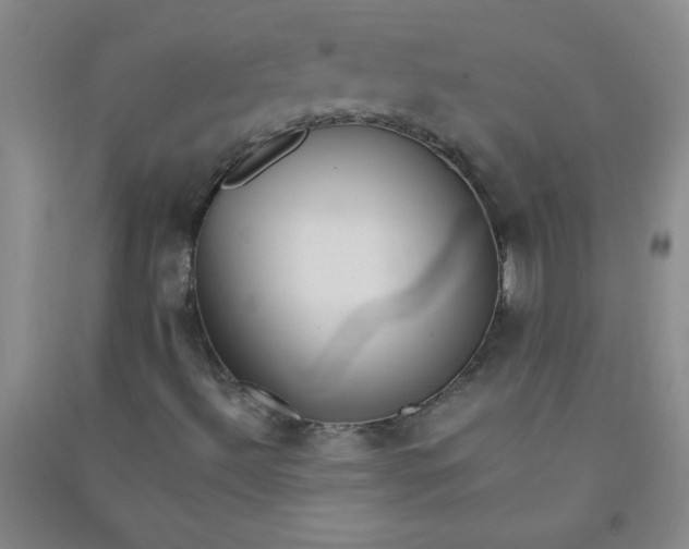 X0000090901492200708201706