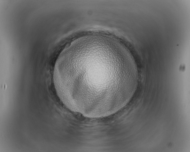 X0000090901493200708201706