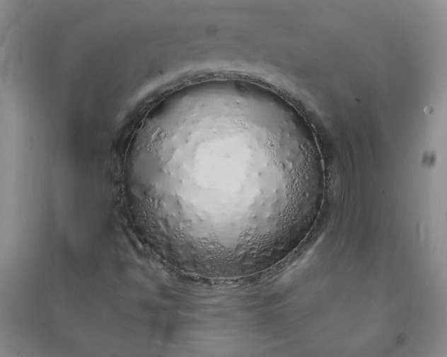 X0000090901494200708201706