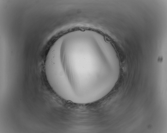 X0000090901495200708201706