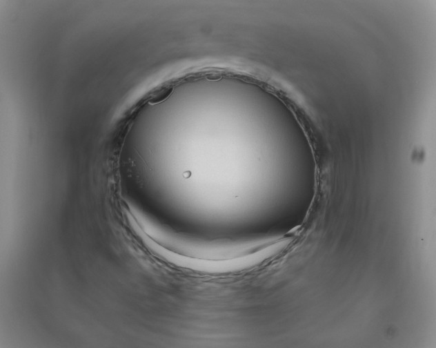 X0000090901496200708201706