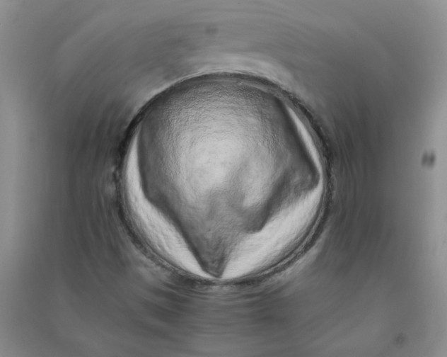 X0000090901497200708201706