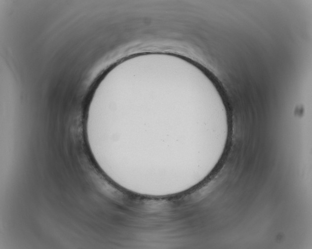 X0000090901498200708201706