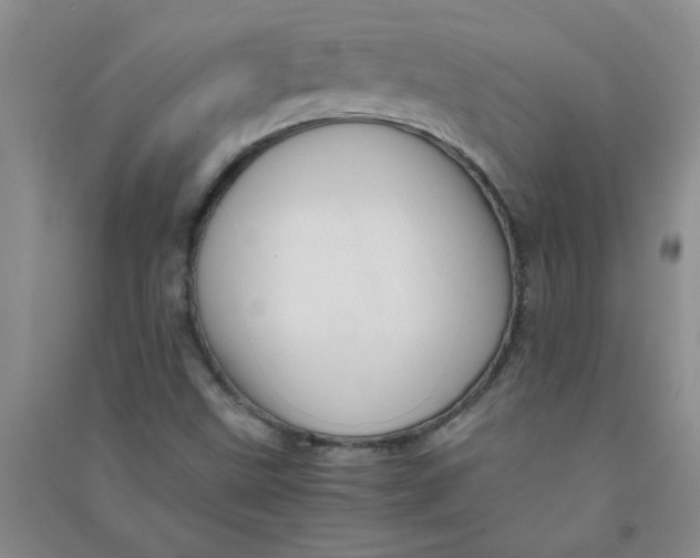 X0000090901499200708201706