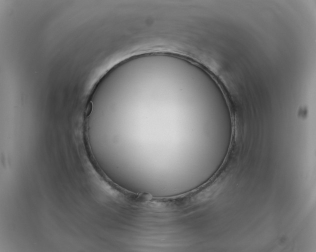 X0000090901500200708201706