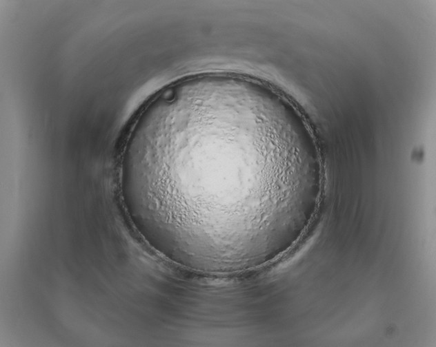 X0000090901501200708201706