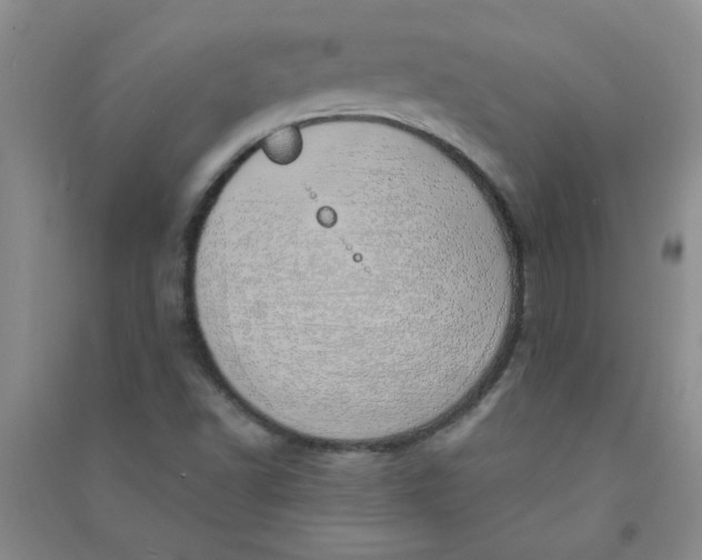 X0000090901502200708201706