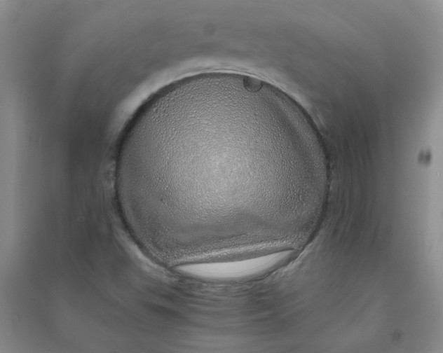 X0000090901503200708201706