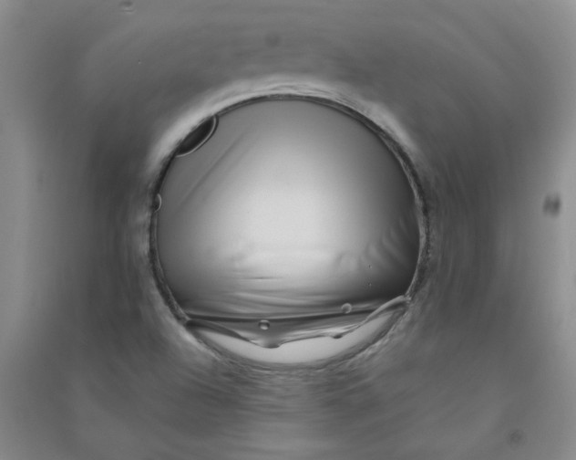 X0000090901504200708201706