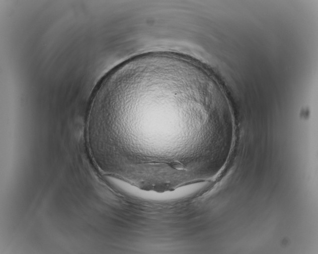 X0000090901505200708201706