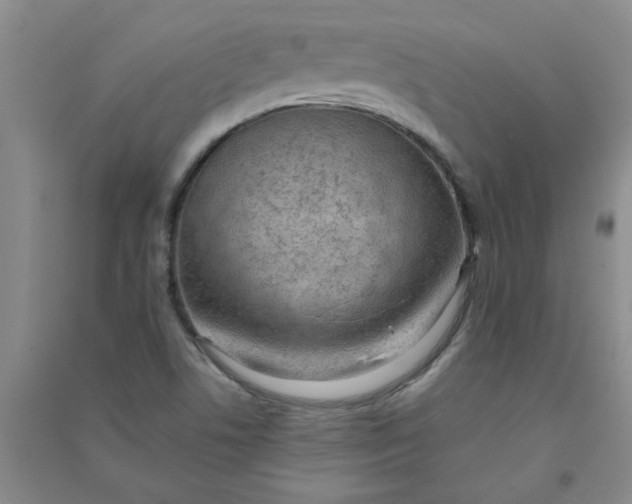 X0000090901506200708201706