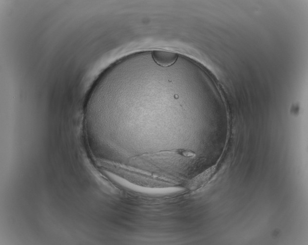 X0000090901507200708201706