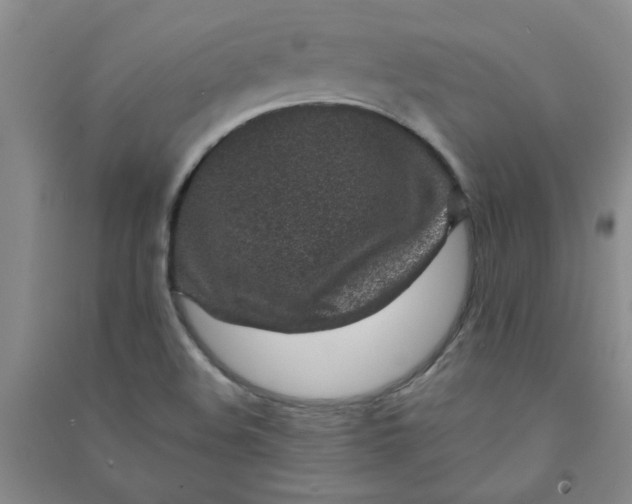 X0000090901508200708201706