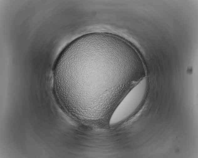 X0000090901509200708201706