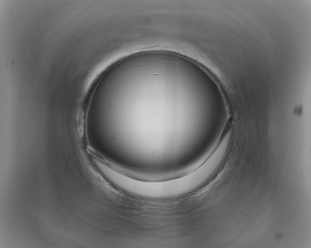 X0000090901510200708201706