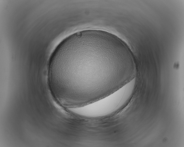 X0000090901511200708201706