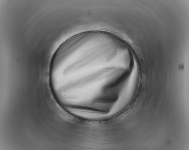 X0000090901512200708201706