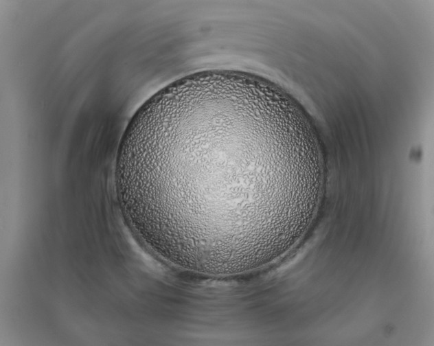 X0000090901513200708201706