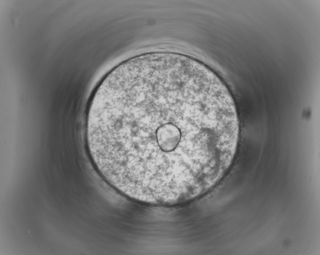 X0000090901514200708201706