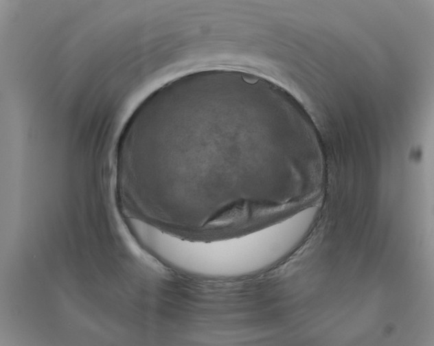 X0000090901515200708201706