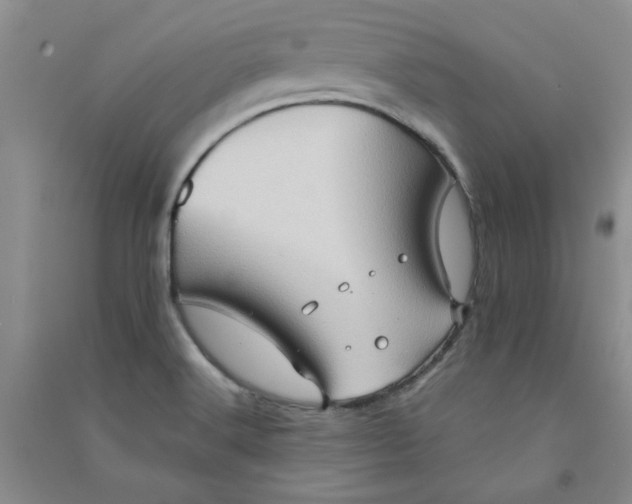 X0000090901516200708201706