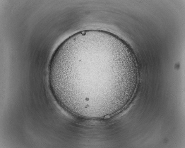 X0000090901517200708201706