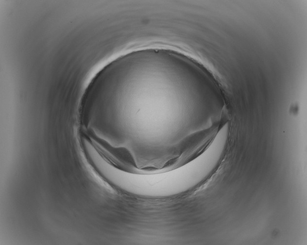 X0000090901518200708201706