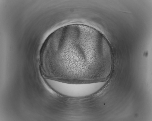 X0000090901519200708201706