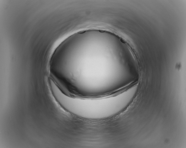 X0000090901520200708201706