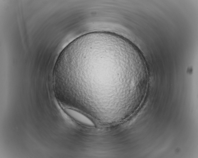 X0000090901521200708201706