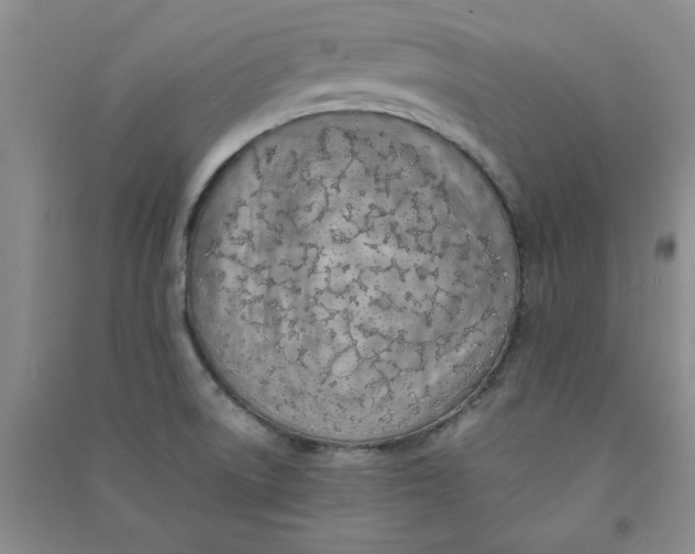 X0000090901522200708201706