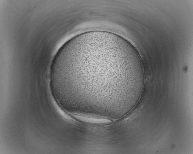 X0000090901523200708201706