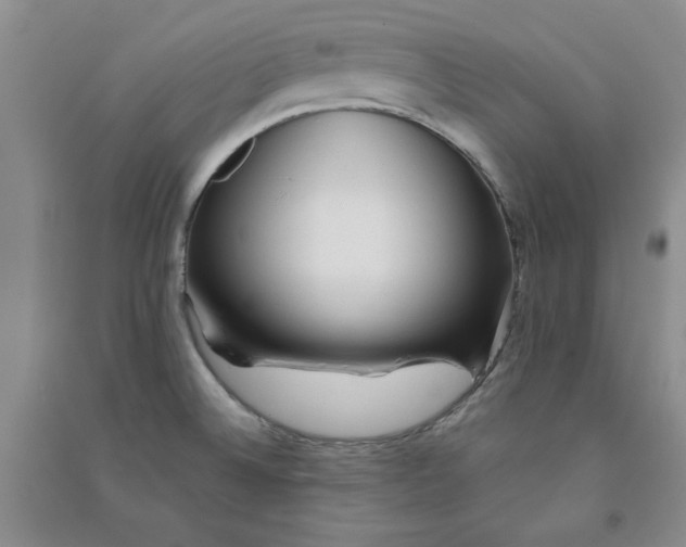 X0000090901524200708201706