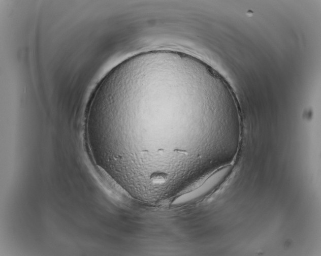 X0000090901525200708201706