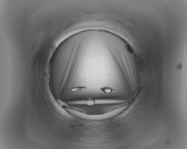 X0000090901526200708201706