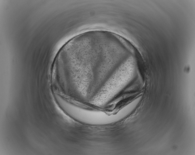 X0000090901527200708201706