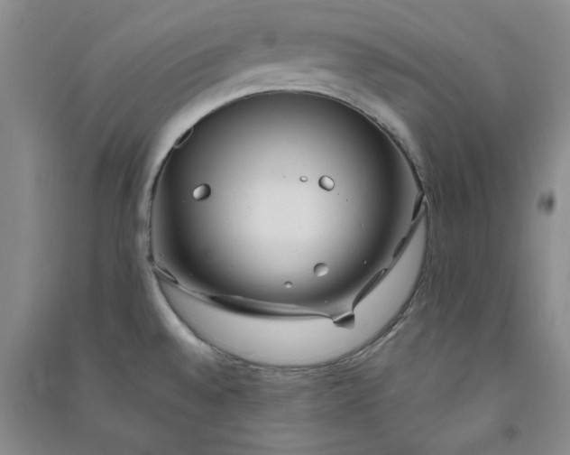 X0000090901528200708201706