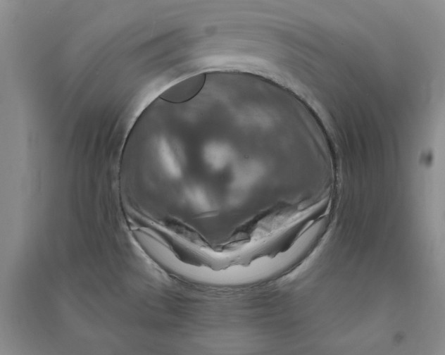 X0000090901529200708201706