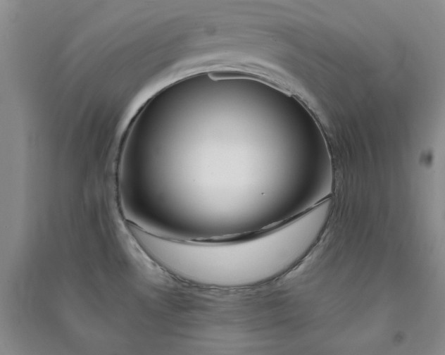 X0000090901530200708201706