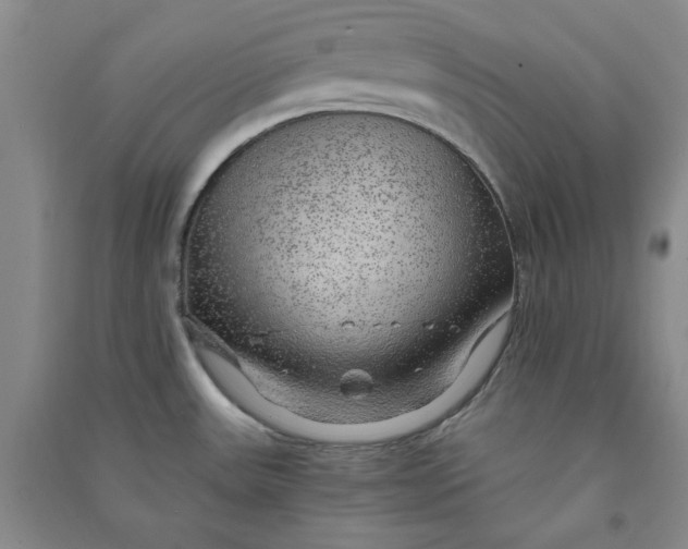 X0000090901531200708201706