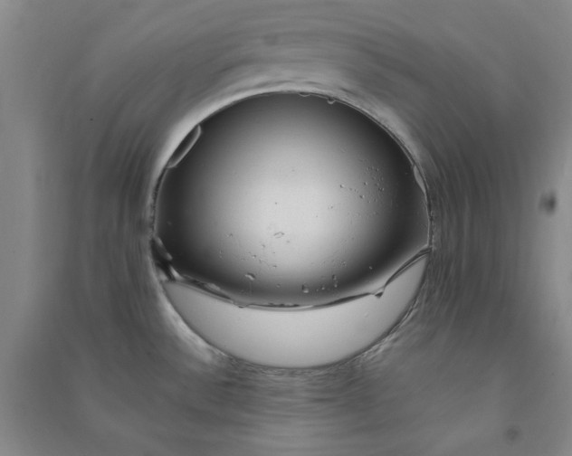 X0000090901532200708201706