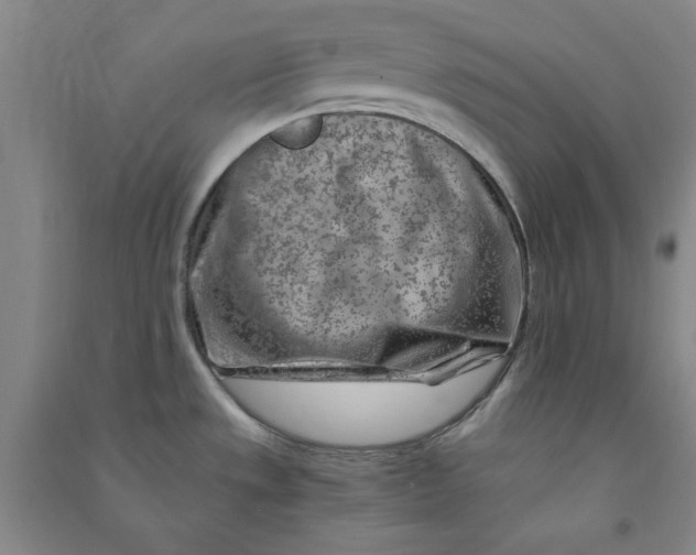 X0000090901533200708201706