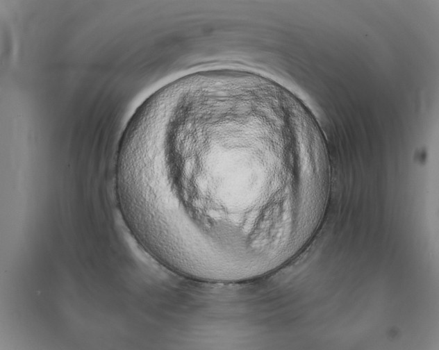 X0000090901534200708201706