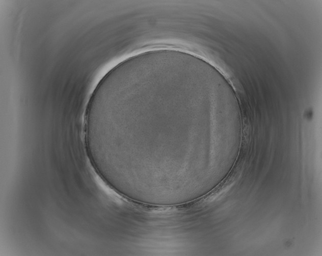 X0000090901535200708201706