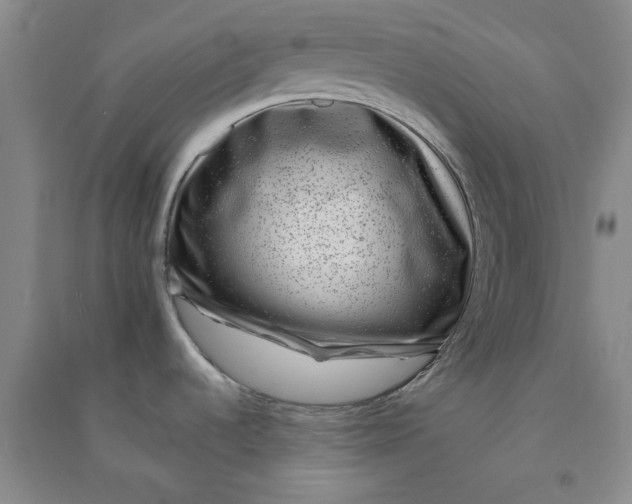 X0000090901536200708201706