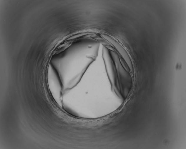 X0000090900001200708270954