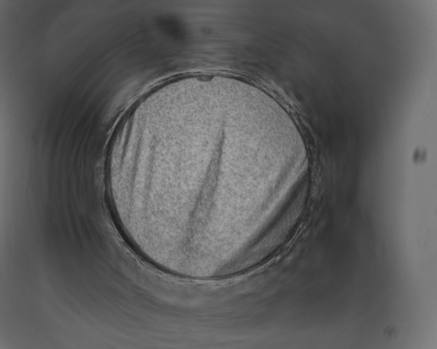 X0000090900002200708270954